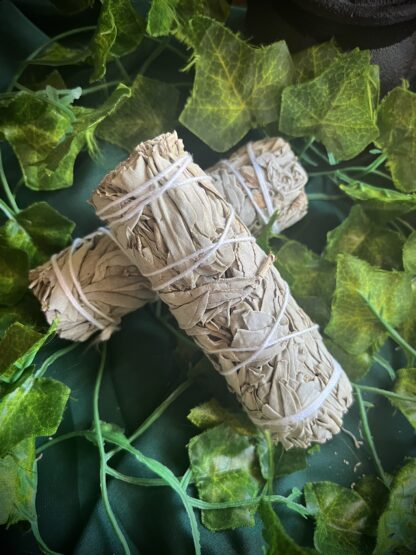 White Sage smudge stick 4”