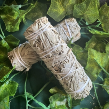 White Sage Stick 4″