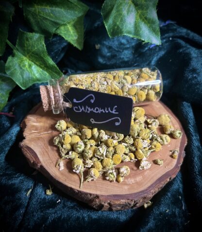 Chamomile