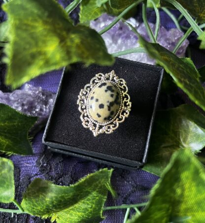 Large Gemstone Ring - Dalmation Jasper