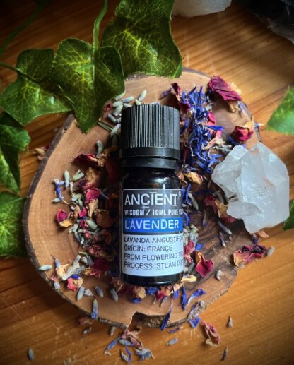 Essential Oils - Lavender