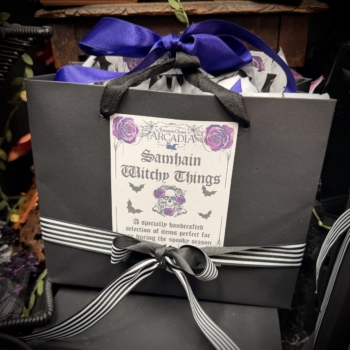 Samhain Witchy Things in a Bag