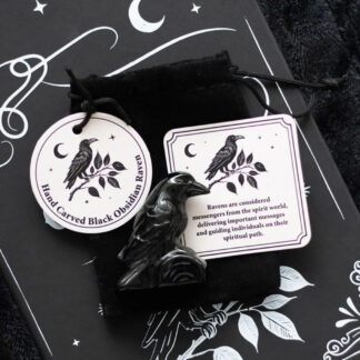 Obsidian Raven