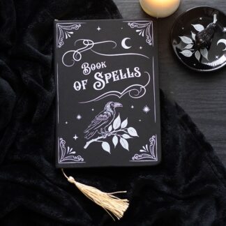 Mystic Raven Book of Spells A5 Notebook